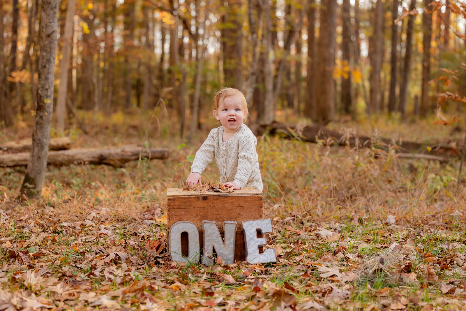 One-year-old outdoor in autumn woods with ONE letters